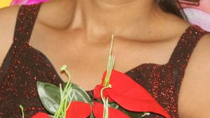 Red Glitter Bodycon Dress For Women