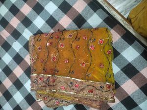 Embroidered Sari with Blouse