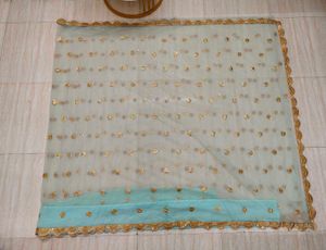 Sea Green Net embellished Saree