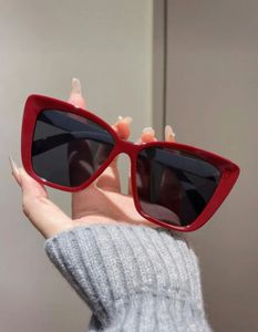 Brand new sunglasses