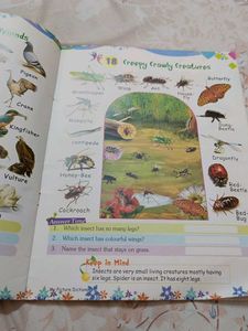 My Picture Dictionary - Educational Book