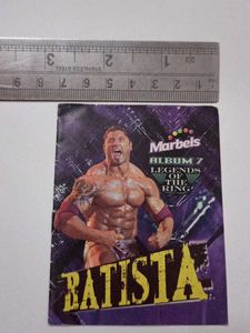 Marbels WWE Album No 7