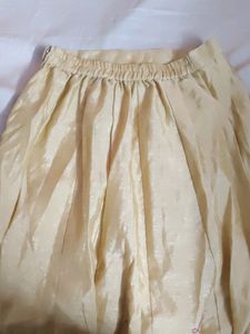 Long Skirt Golden Colour