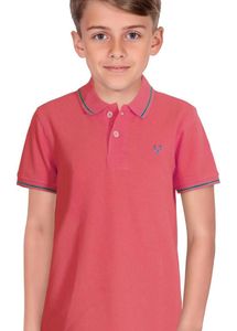 Stylish Allen Solly Collar T-Shirt for Boys