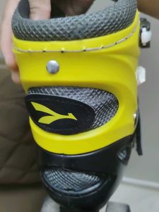Men's/Women's Inline Skates