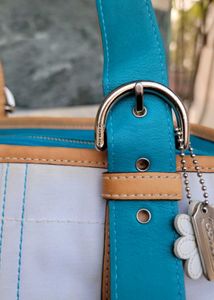 Coach Limited Edition Daisy Soho Tote