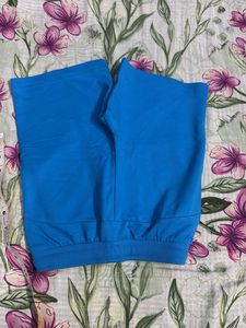 Puma Blue Logo Shorts