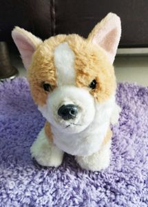Cute Corgi Plushie