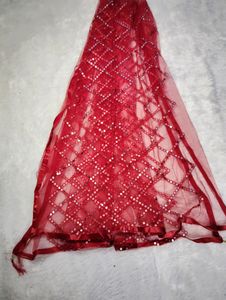 New Fancy Net Mirror Work Woman Dupatta