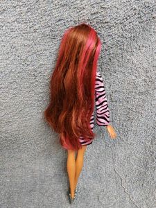 Barbie Doll with Pink Zebra Print Outfit