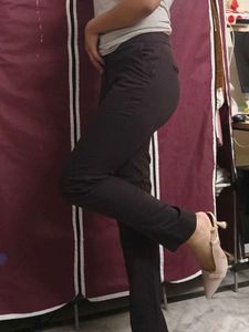 Brown Formal Pants