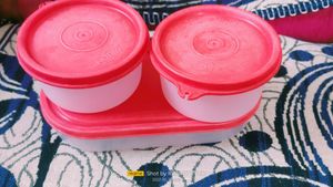 Milton Tiffin Box