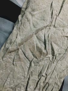 Light Green Embroidered Palazzo Pants