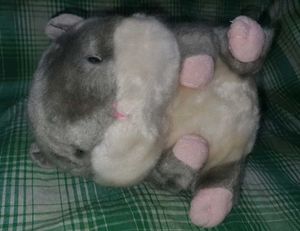 Hamster Soft Toy
