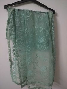 Beautiful Green Embroidered Dupatta