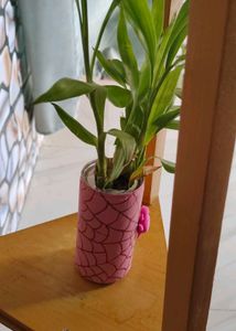 Hand-Painted Spiderweb Planter Pot without plant