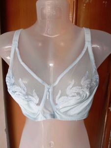 Ethereal Blue Embroidered Sheer Bra
