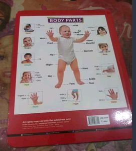 BRAND NEW📚** All In One Learning Book