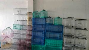 Birds Cage ( Pijara)