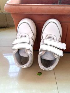 White Sneakers size 12