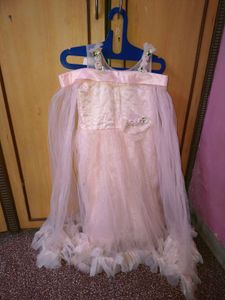 Beautiful Peach Net Gown