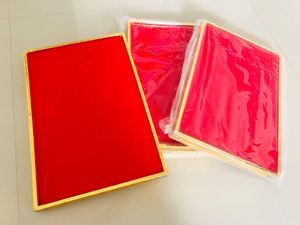 PRICE DROP Ring Velvet Organiser