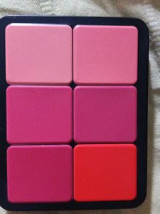 Carla Secret Concealer &amp; Blush Palette
