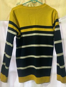 Men's Striped Knit Sweater