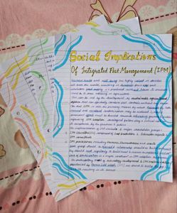 Assignment writing for you