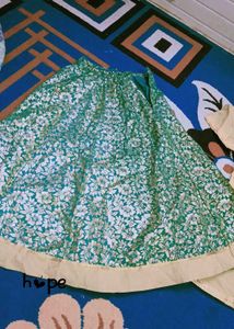 Elegant Beige Kurta with Green Skirt Set