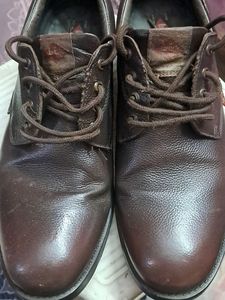 Lee Cooper Brown Leather Shoes Size UK10