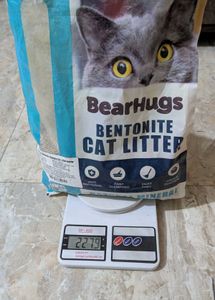 cat litter