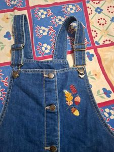 Denim Overall Dress