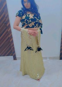 Designer Sequined Lehenga Choli