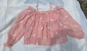 Korean Style Pastel Pink Floral Embroidered top