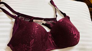 Maroon Lace Bra Padded