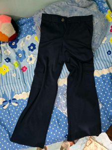 the pant project unworn Navy Blue Cargo Pants 30in