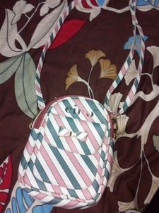 Small And Trendy Sling Bag