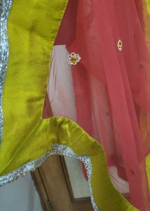Net Duppata With Silk Border