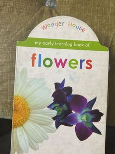 Lot of 3 Children's Books