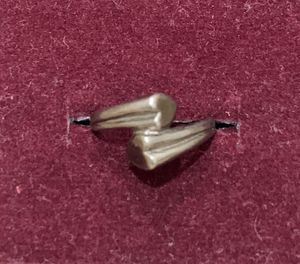 Minimalist Ring