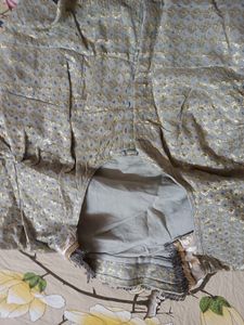 Plan Cream Beautiful Saree
