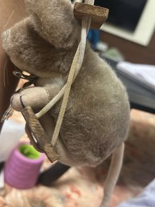 wall hanging mouse , bunny soft toy