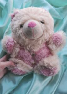 Cute Pink & Cream Teddy Bear