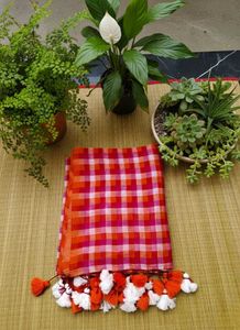 Brand New Vibrant Checkered Saree with Tassels