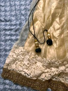Elegant Lehenga Choli Set