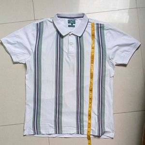 Colorplus Polo Tshirt For Men