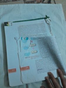 NCERT Biology Class XII Textbook