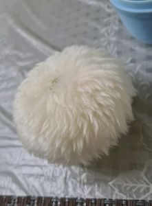 Baby powder puff with a refill container