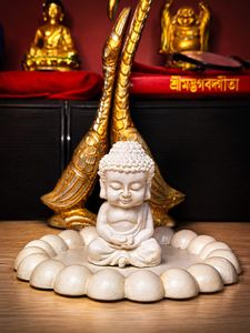 Serene Baby Buddha Statue with Coaster